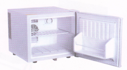Tủ lạnh mini WS-S10